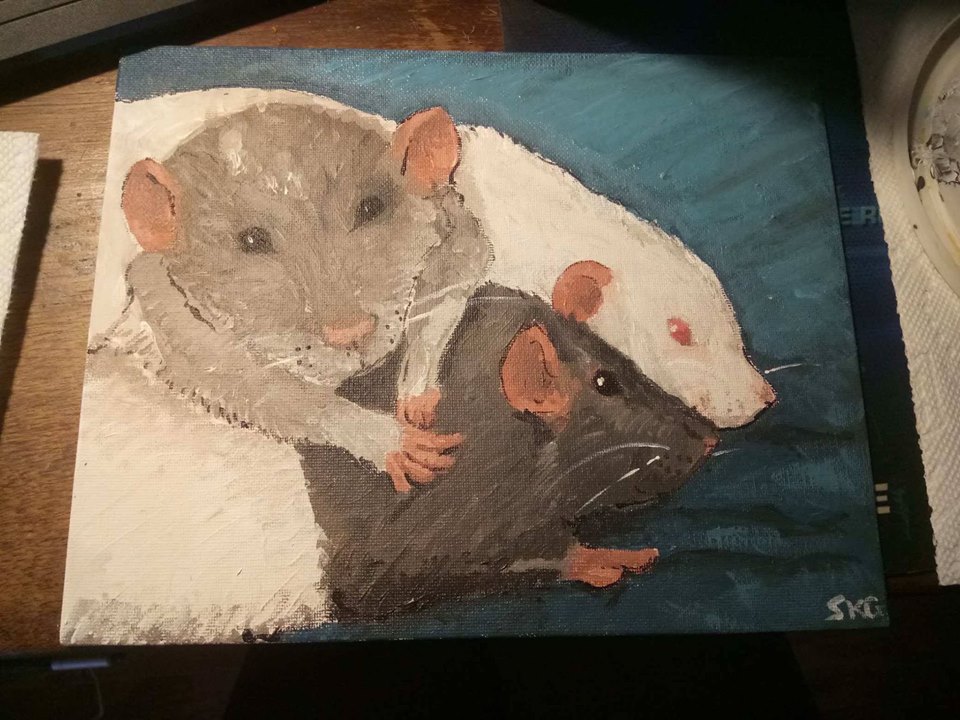 rats.jpg