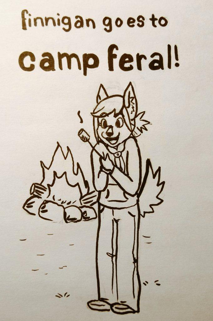 finncampferal.jpg